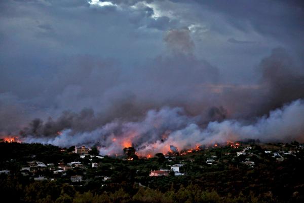 希腊首都森林火灾已致50死，系11年来最致命火灾