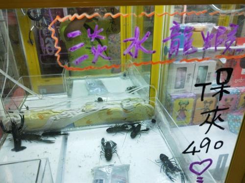 台湾夹娃娃机可夹活螃蟹龙虾 被指残忍遭抵制
