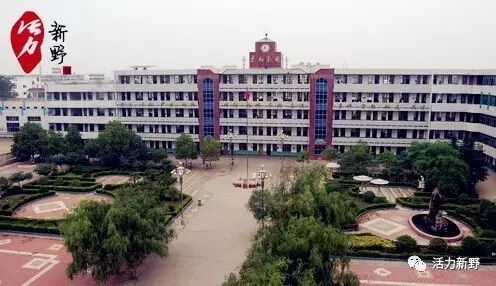 【中招特刊】新野中招录取分数线出炉!快看你