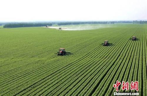 中国首部黑土地保护法规正式实施 确保粮食安全