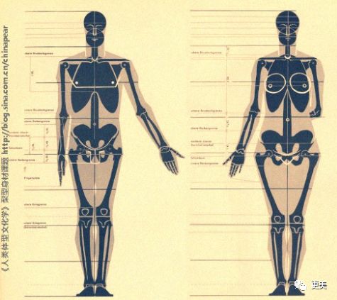 看骨架大小,主要是看肩膀,胯骨的位置.