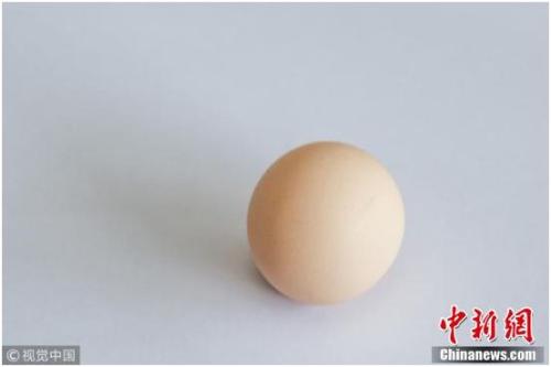 鸡蛋价格触底上涨 西红柿炒鸡蛋需少放一个蛋？