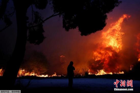 希腊山林大火遇难人数升至74人 中国大使馆发布安全提醒
