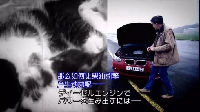 国外一汽车电视节目为了提高收视率,竟想出了