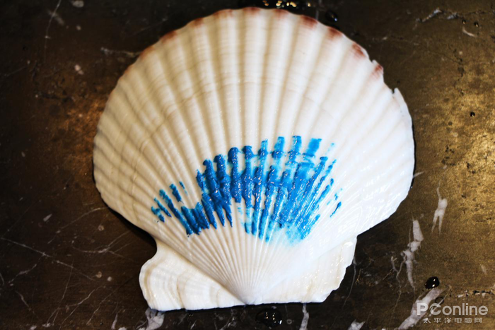 贝壳测试前