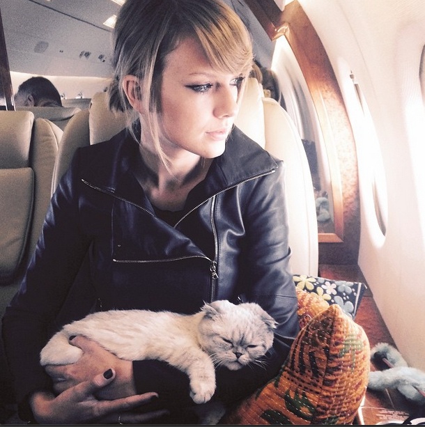 Taylor-Swift-Cat_副本