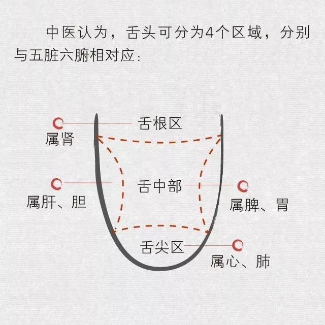 舌头是五脏健康的"缩略图",有这7个症状可能要看医生了