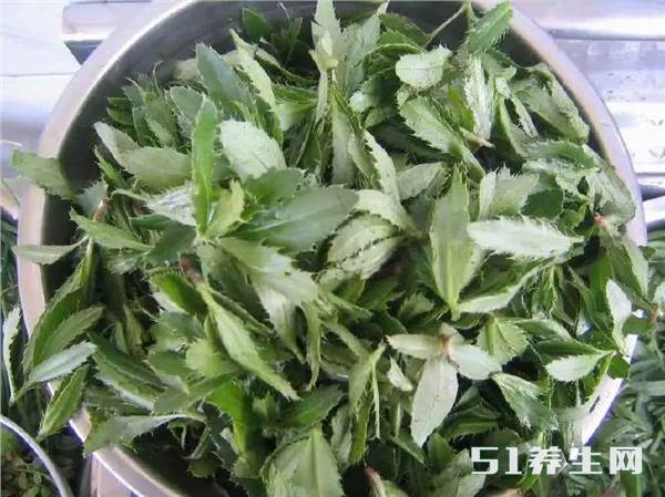 上好的野菜