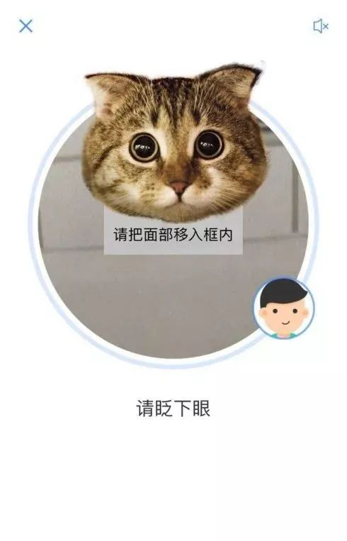 高清动图PK人脸识别,上海交警app实名认证