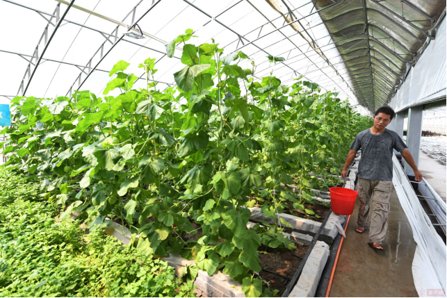 生态循环经济推进乡村振兴