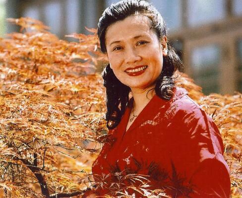 她是林峰的师傅,还是中国现代流行音乐开山鼻