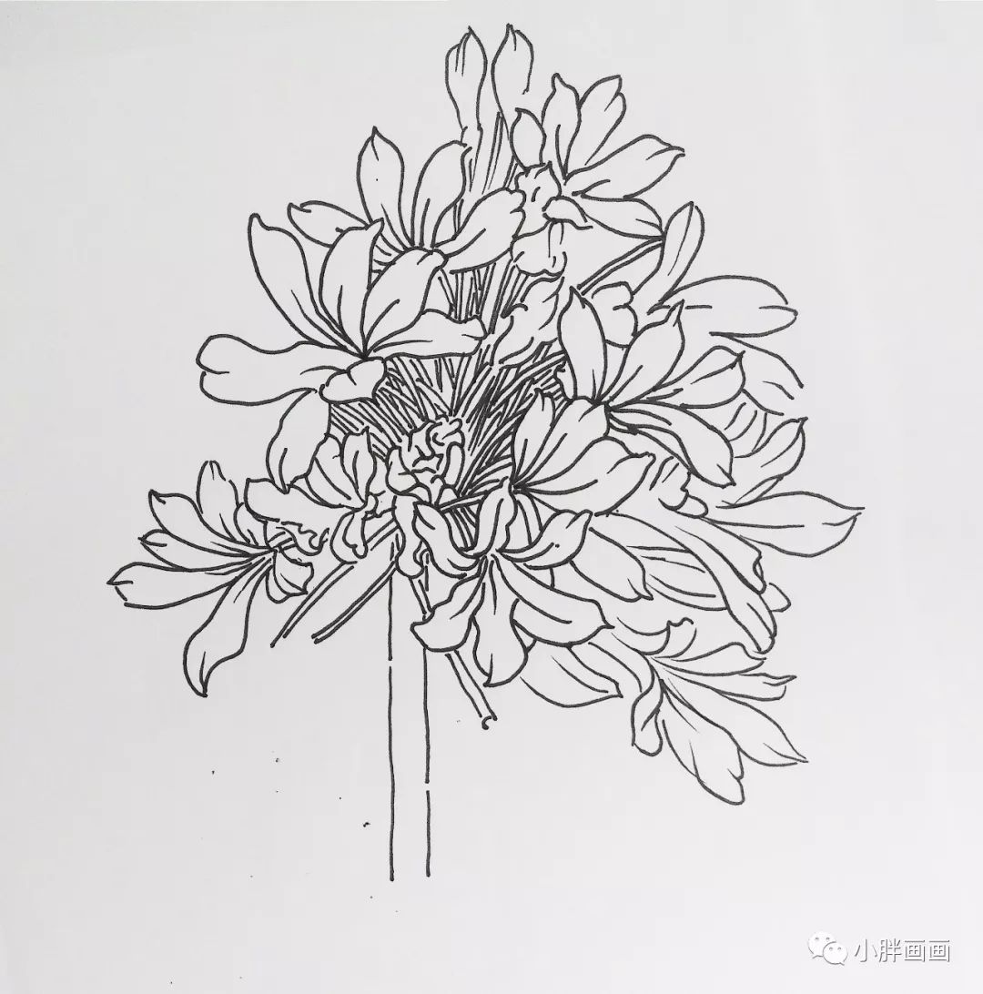 线描手绘大丽花简单易学