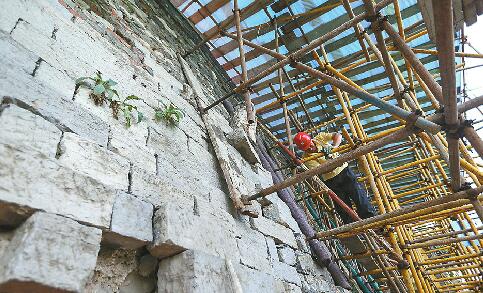 明代古城墙修缮细节 古城墙里拔树比从虎口拔牙还小心