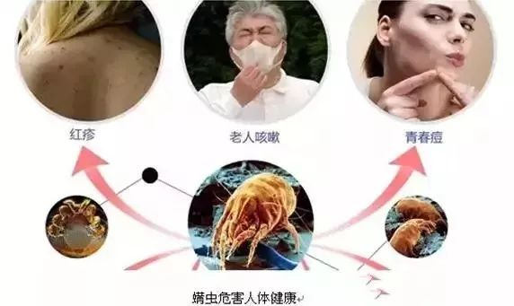 原来生活还能过得这么高级？多亏了这条高bigger的毛巾。