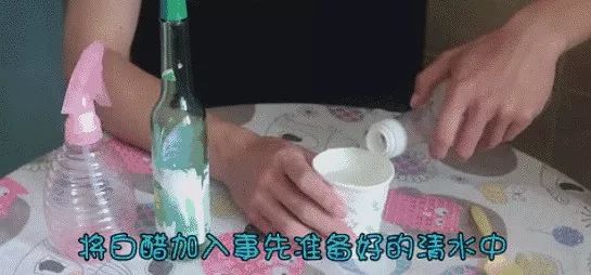 哪些花可以用白醋喷 01ED609C80C7312EA8CEBB102E317C27DF63B8BE_size27_w545_h254.jpeg