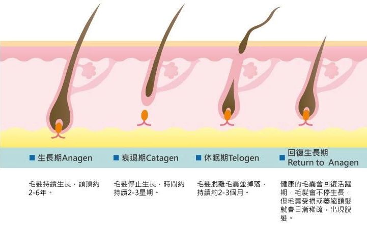 脱发六、七年了,不敢洗头不敢梳头!别怕,这瓶台