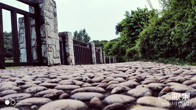 小米黑鲨游戏手机评测,自带手柄让你把把吃鸡