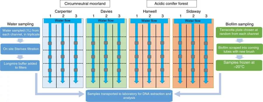 生物多样性新标尺“环境DNA”的秘密：持久性就2天