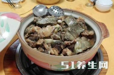 拟鳄龟 拟鳄龟