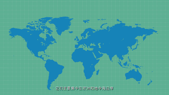 新,旧世界|葡萄酒世界的两大阵营