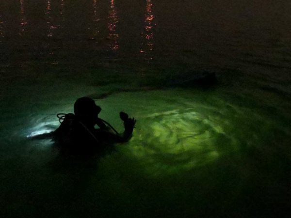29岁男子房山捕鱼落水身亡 事发水域曾发生数起溺水事故