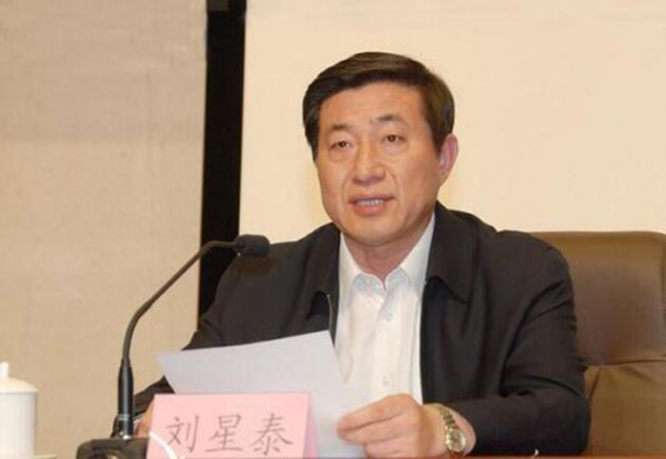 从山东赴海南工作6个月后，海南副省长刘星泰跻身省委常委