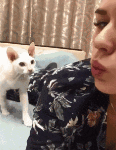 搞笑gif:可能这是你单身多年的原因!