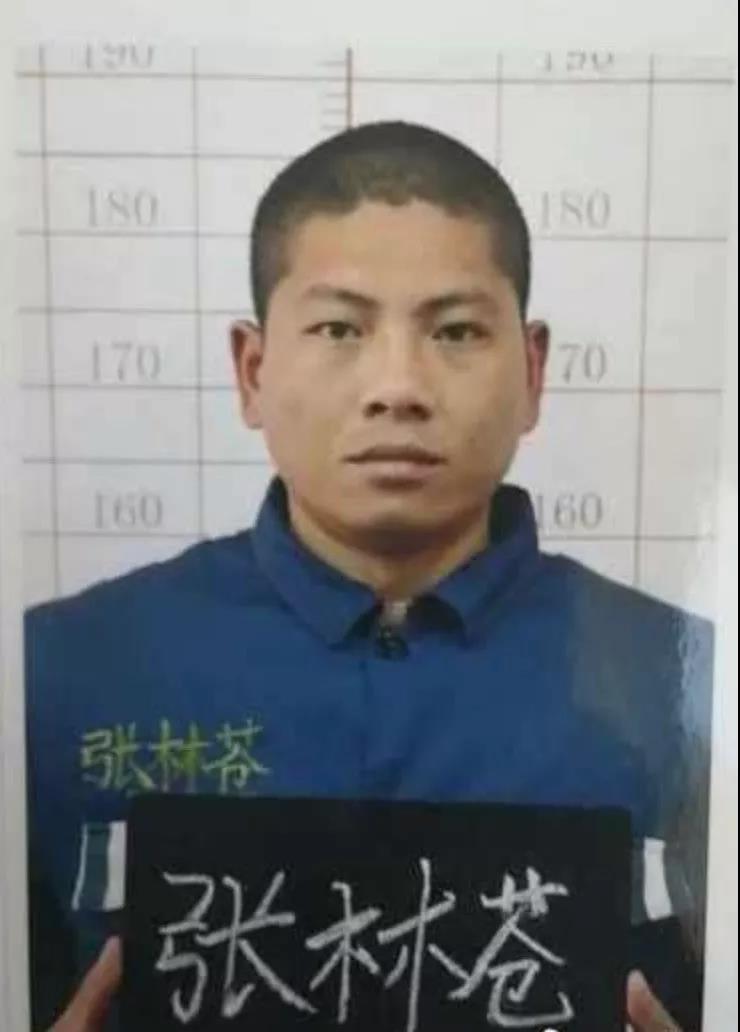 云南一囚犯越狱，两名曾受表彰狱警成犯罪嫌疑人