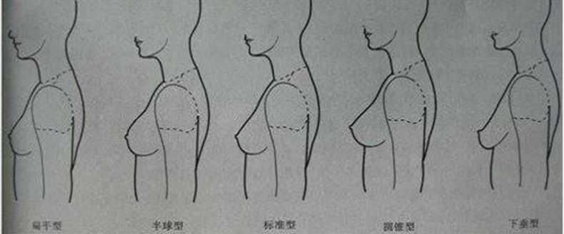 女生胸部分这4种胸型,特别第3种,直男公认最