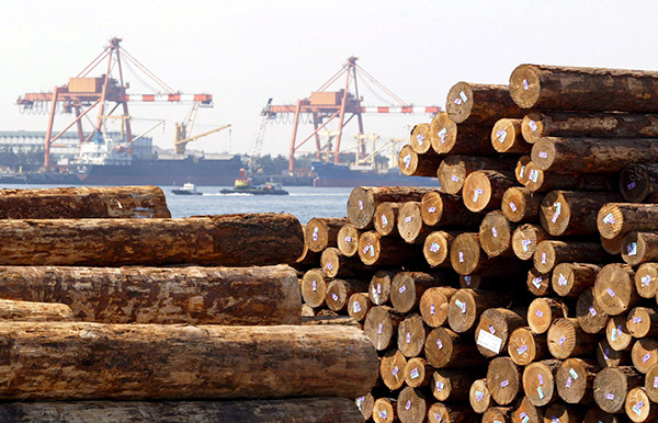 日本木材出口量达到历史新高，主要销往中国