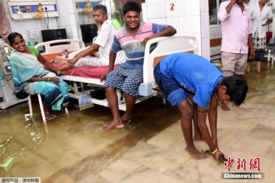 近日印度遭遇暴雨天气，印度巴特那的医院被淹。印度北部地区暴雨引发灾害，北方邦从7月26日以来，已有至少70人丧生。此外，在首都新德里，由于亚穆纳河涨到5年来最高水位，当局紧急从低洼地区撤离了3000人。