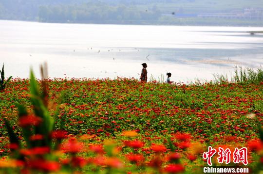 襄垣环宝峰湖万亩花海一期工程占地面积130.67万平方米。工程分“春明”“夏荷”“秋花”“冬青”和防护林带等景观,打造花卉观光区、水上娱乐园、旅游接待服务区于一体的旅游度假文化产业园。 连烽 摄 襄垣环宝峰湖万亩花海一期工程占地面积130.67万平方米。工程分“春明”“夏荷”“秋花”“冬青”和防护林带等景观,打造花卉观光区、水上娱乐园、旅游接待服务区于一体的旅游度假文化产业园。 连烽 摄
