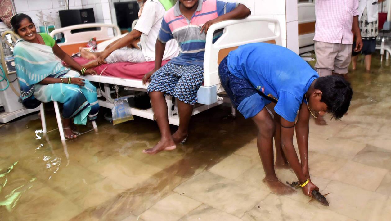 季风致印度巴特那一医院水位上涨 鱼群游入病房