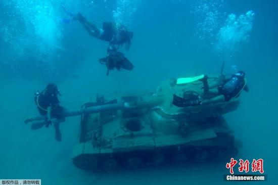 黎巴嫩水下军事公园:坦克上长珊瑚 鱼在那产卵(图)