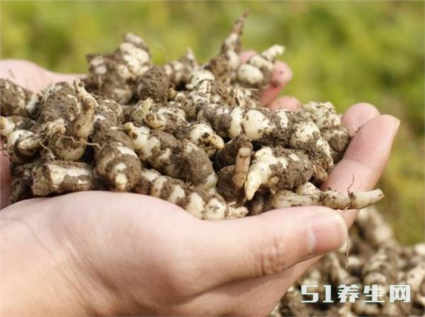 农村这种样似螺丝的植物,可以用来做腌菜,还能祛风清热,活血散瘀