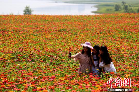 近日,山西省长治市襄垣县环宝峰湖万亩花海内鲜花一齐怒放,吸引了众多游客前来赏花、拍照,好不惬意。 连烽 摄 近日,山西省长治市襄垣县环宝峰湖万亩花海内鲜花一齐怒放,吸引了众多游客前来赏花、拍照,好不惬意。 连烽 摄