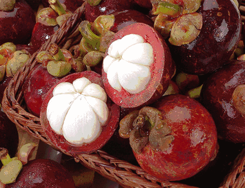 水果 植物 500_384 gif 动态图 动图