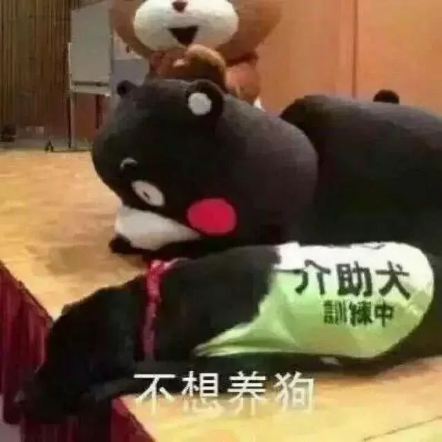 扫黑除恶 | 鼓楼区检察院严打涉黑涉恶犯罪 揭露