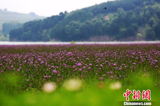 煤炭“黄金十年”期间,襄垣实现了经济社会各项事业迅猛发展,但也在近几年经济发展中出现了下跌,以煤炭为主的传统产业发展遇到难题。由此,该县开始为破解资源型经济发展难题,培育发展新动能,以文化、旅游为基础结合生态文明建设,积极探索多元化发展模式,深化经济转型。 连烽 摄 煤炭“黄金十年”期间,襄垣实现了经济社会各项事业迅猛发展,但也在近几年经济发展中出现了下跌,以煤炭为主的传统产业发展遇到难题。由此,该县开始为破解资源型经济发展难题,培育发展新动能,以文化、旅游为基础结合生态文明建设,积极探索多元化发展模式,深化经济转型。 连烽 摄