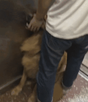 300_350 gif 动态图 动图