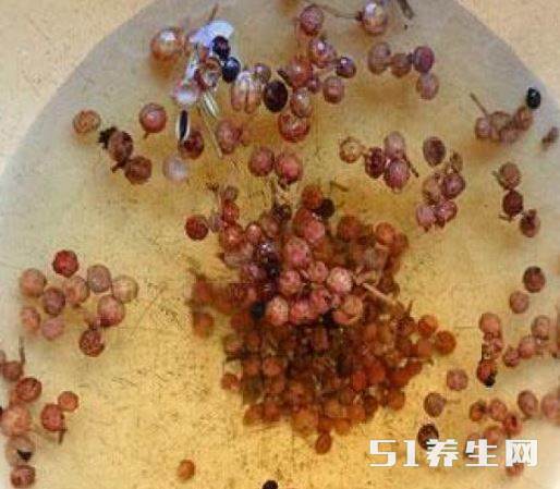 治疗痔疮