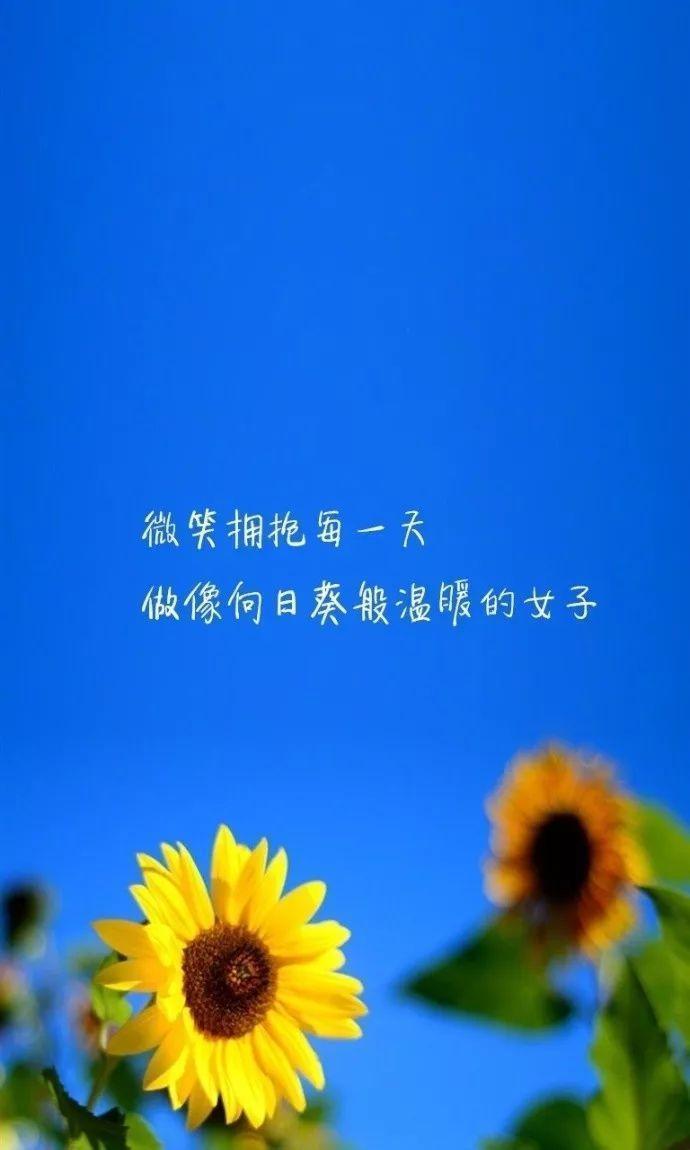 值得收藏的人生经典语录，句句戳心！__凤凰网