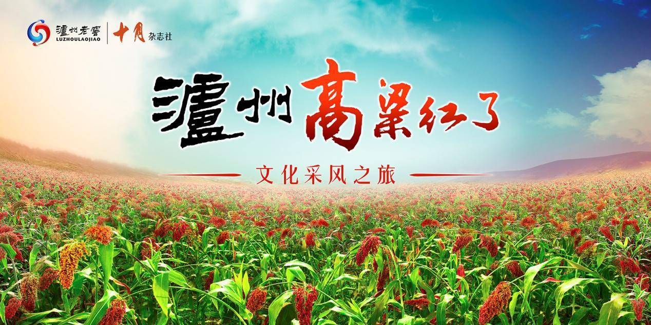 循一株糯红高粱,见证泸州老窖看得见的有机品质__凤凰网