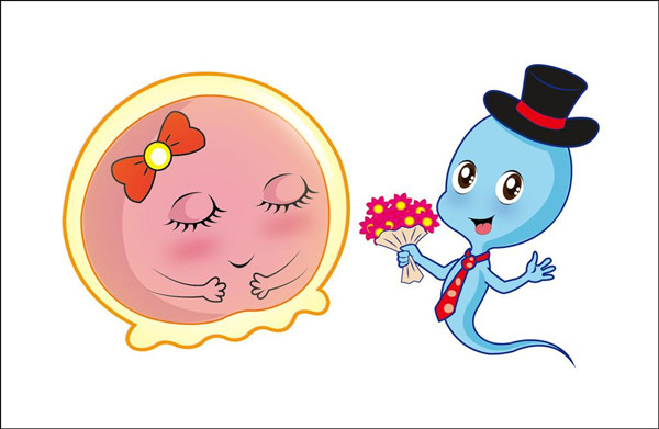 广州助孕（优贝健康告诉您做试管婴儿怎么获得好卵子呢？）
