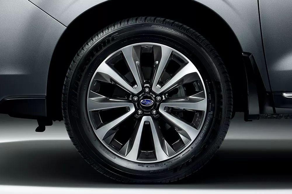 曾经男神森林人如今触手可及 原因竟然是占了