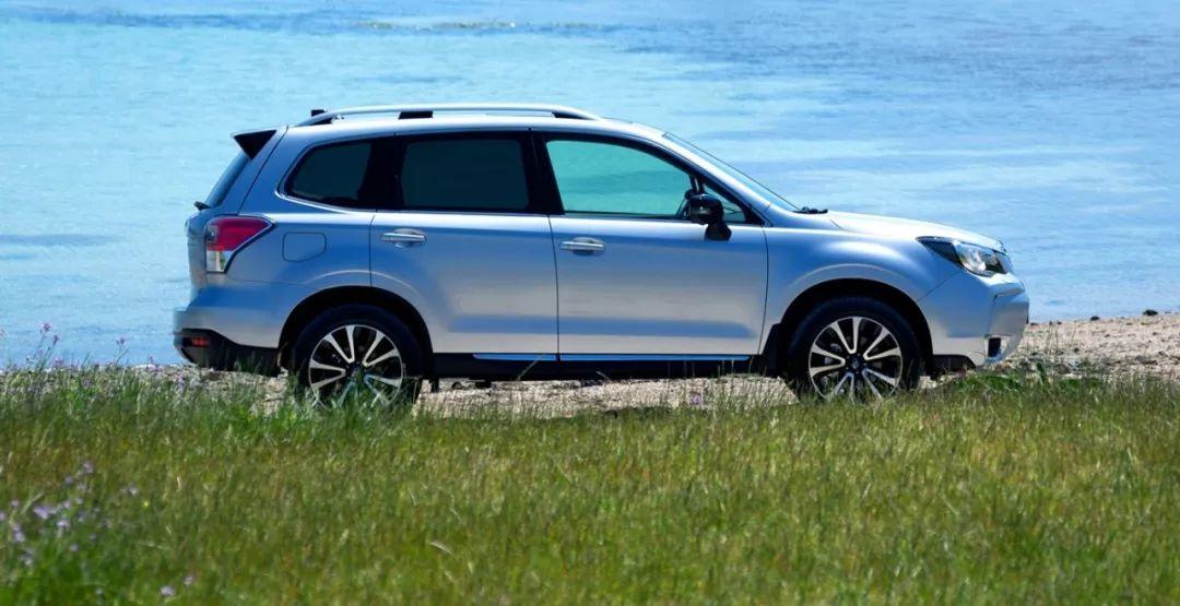 曾经男神森林人如今触手可及 原因竟然是占了