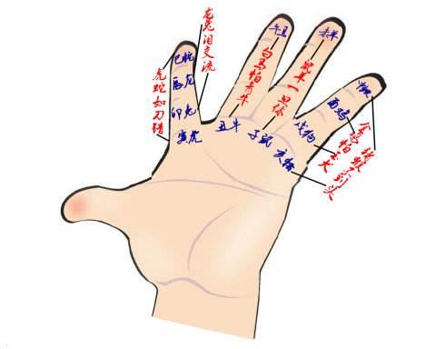 大相不合与相合指的是什么,分别指的是那些属相