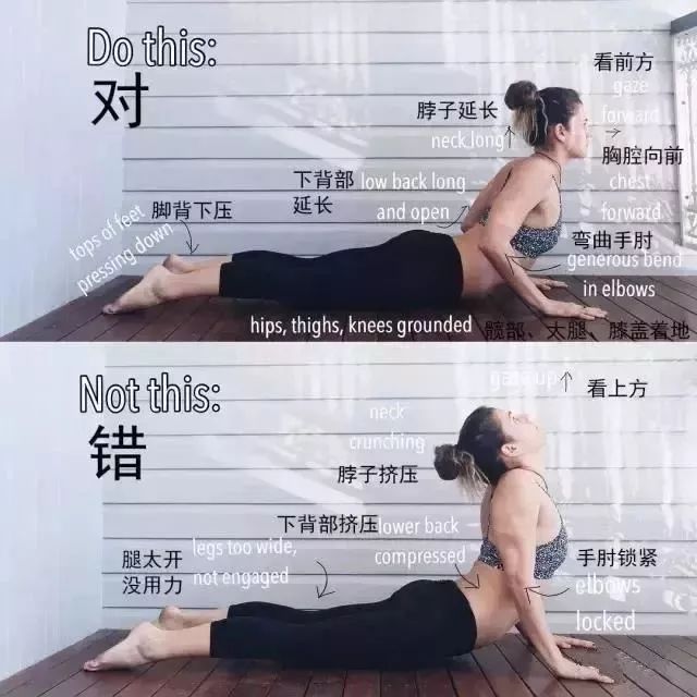27个超全瑜伽体式“正位图”初学者知道“怎么练”很重要!(图14)