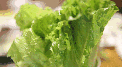美食 蔬菜 390_216 gif 动态图 动图