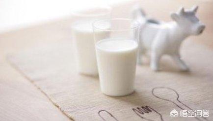 为什么健身减肥的人都爱喝牛奶煮燕麦片?